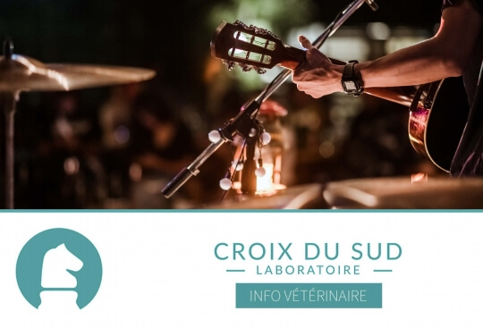 [Publication scientifique] Musicothérapie chez le cheval âgé
