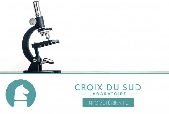 [Publication scientifique] Comparaison entre deux formulation d’oméprazole pour le traitement des ulcères gastriques chez les chevaux de courses