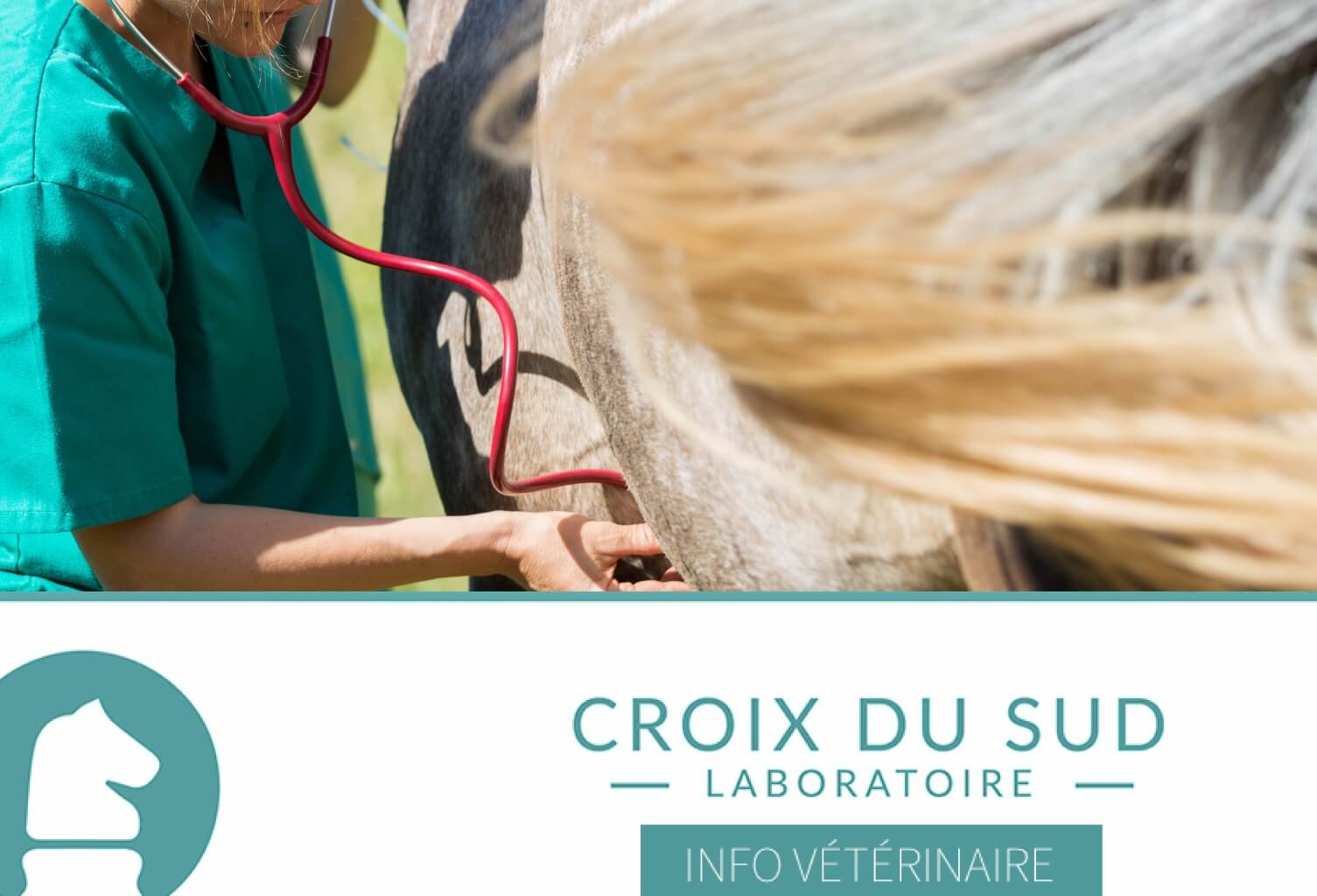 [Publication scientifique] Variabilité de la Fréquence Cardiaque et Induction d'Ulcères Gastriques chez le Cheval Adulte : Implications pour la Pratique Vétérinaire