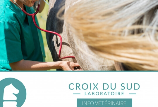 [Publication scientifique] Variabilité de la Fréquence Cardiaque et Induction d'Ulcères Gastriques chez le Cheval Adulte : Implications pour la Pratique Vétérinaire