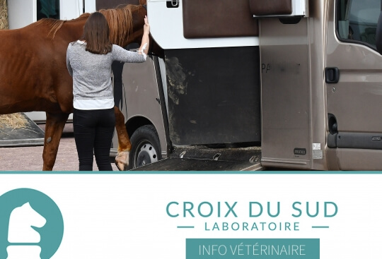 [Publication scientifique] Stratégies Alimentaires Pré-Transport: Implications pour la Santé Gastrique