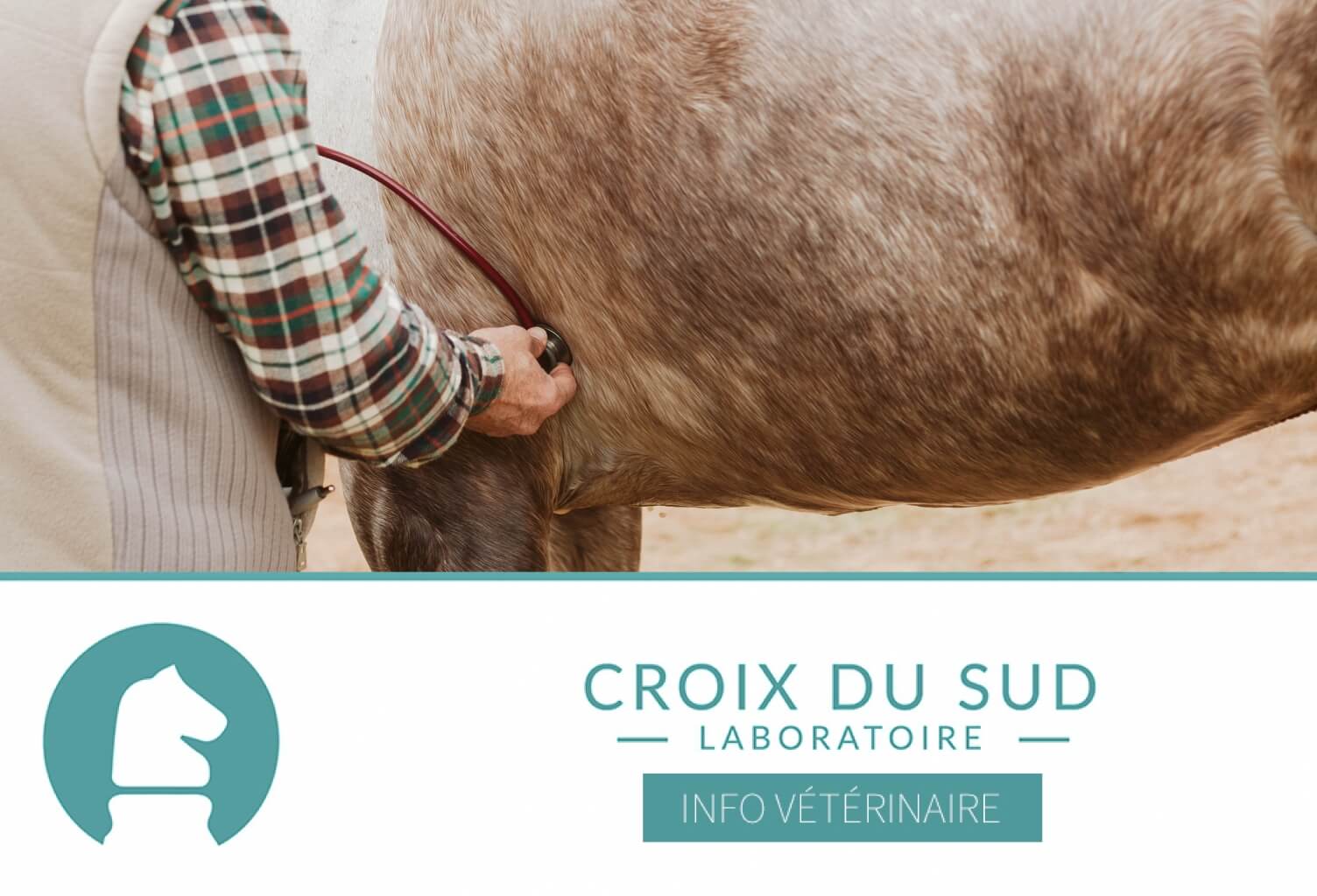 [Publication scientifique] Etat des connaissances sur les ulcères gastriques, des considérations différentes pour l’ESGD et l’EGGD …