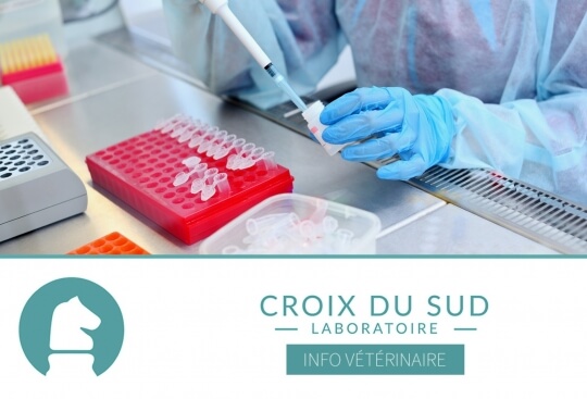 [Publication scientifique] Cushing : Une Étude Approfondie sur les Neurohormones et les Variations Saisonnières