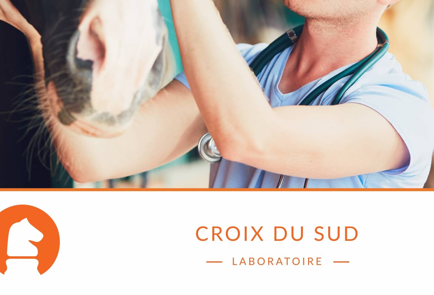 Comprendre les ulcères gastriques équins : causes, mécanismes et diagnostic