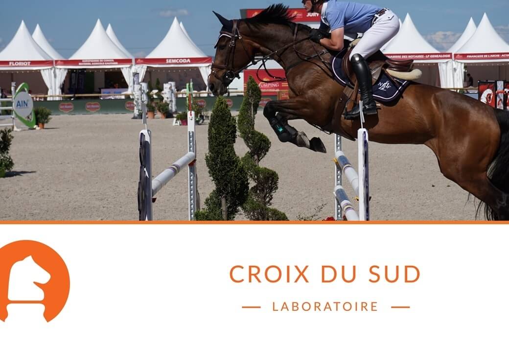 Satisfaire le besoin énergétique du cheval sportif sujet aux ulcères gastriques