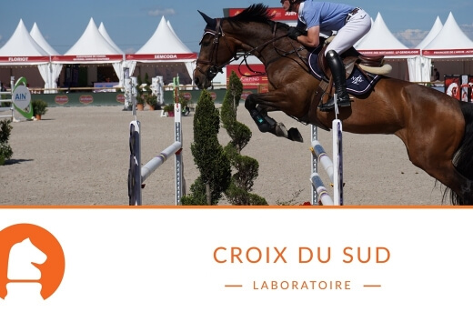 Satisfaire le besoin énergétique du cheval sportif sujet aux ulcères gastriques