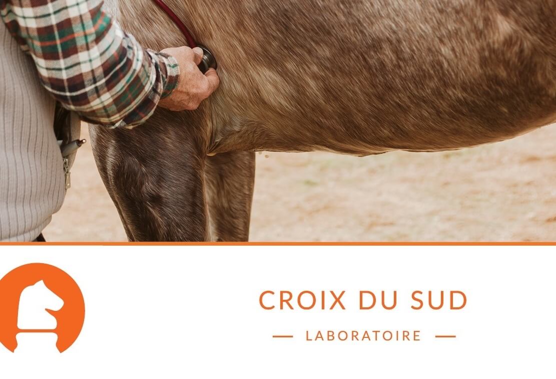 La prévention des coliques passe par une gestion alimentaire optimale