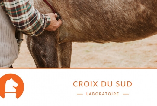 La prévention des coliques passe par une gestion alimentaire optimale