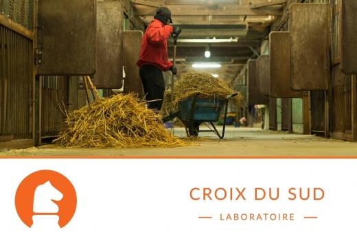 Quand les crottins indiquent un problème de santé : coliques, parasites ou troubles digestifs